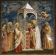 GIOTTO di Bondone Presentation of Christ at the Temple china oil painting reproduction